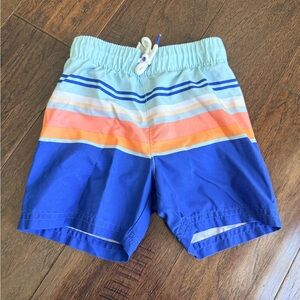Vibrant Striped Swim Shorts 2t